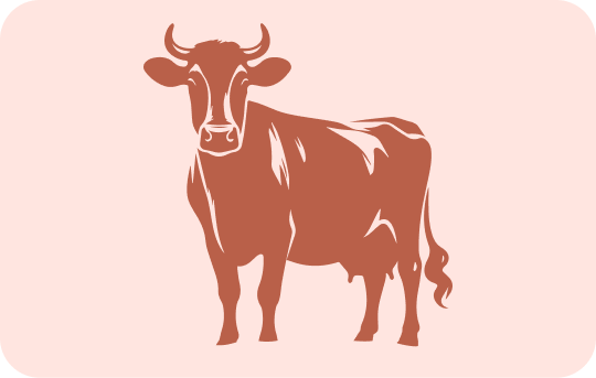 Beef or Veal