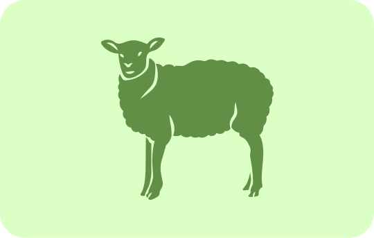 Lamb or Goat